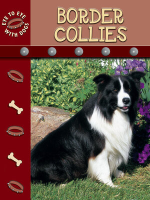cover image of Border Collies